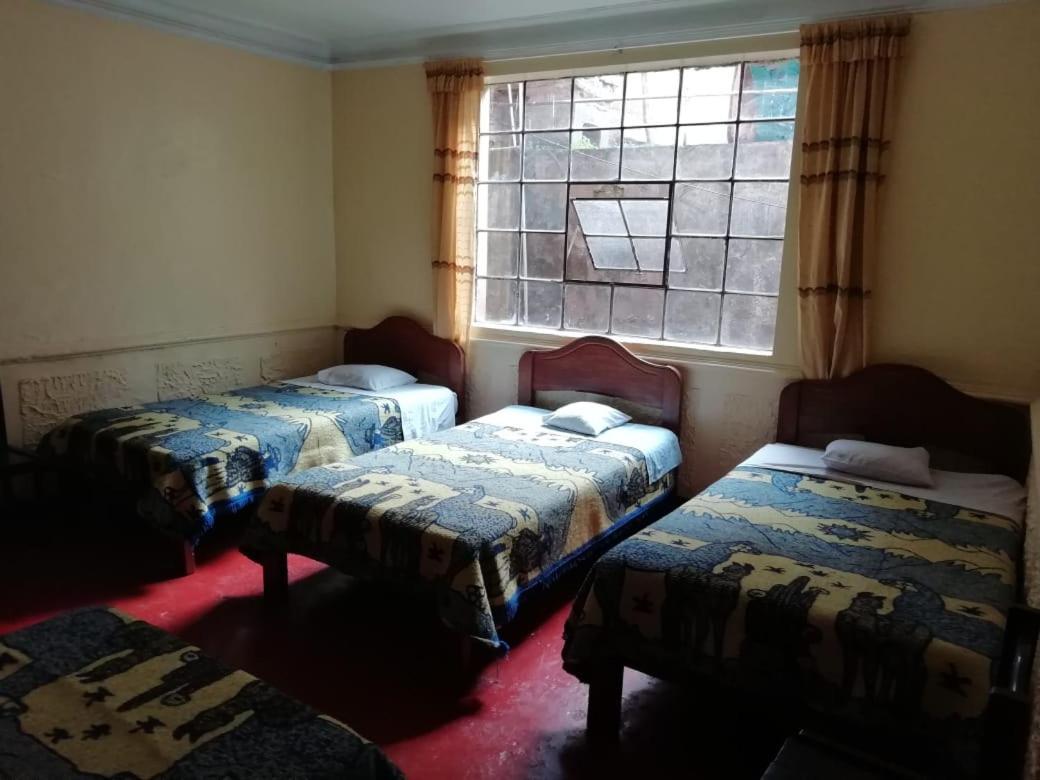 Auquis Ccapac Guest House 库斯科 外观 照片