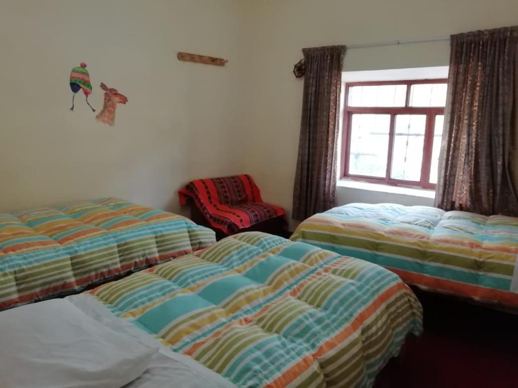 Auquis Ccapac Guest House 库斯科 外观 照片